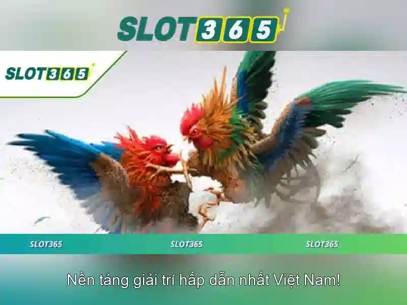 Bảng so sánh đối thủ ngành 5x5 